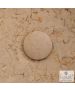 Τάπα Βαλβίδας Νιπτήρα Fossil Beige TPM01-500
