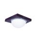 3081F Φ24 TECO COLLECTION, WOOD-CHROME CEILING B3 HOMELIGHTING 77-1835