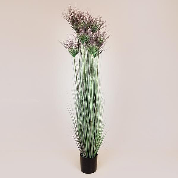 ΦΥΤΟ ΓΡΑΣΙΔΙ ΣΕ ΓΛΑΣΤΡΑ ΠΛΑΣΤΙΚΟ 183cm Eurolamp 816-50016