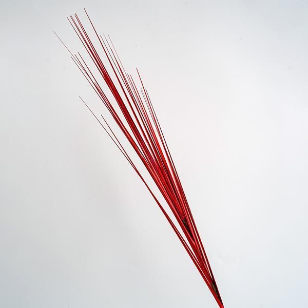 ΚΛΑΔΙ, ΚΟΚΚΙΝΟ ΜΕΤΑΛΙΖΕ, 80cm Eurolamp 600-45431