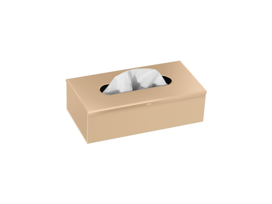 Sanco Tissue Dispensers Tissue Box Free standing | Wall mounted (AISI 304) Μόκα ματ 00102-M103