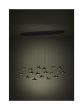 Κρεμαστό Φωτιστικό 148x26x220cm Led 17x3w Μαύρα Πουλιά Eglo Paratebueno 390353