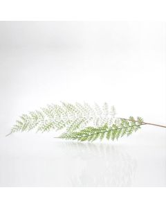 ΚΛΑΔΙ ΦΤΕΡΗ, ΜΕΝΤΑ, 92cm Eurolamp 600-44206