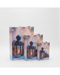 ΒΙΒΛΙΑ ΔΙΑΚΟΣΜΗΤΙΚΑ, ΜΕ ΦΑΝΑΡΑΚΙ, ΞΥΛΙΝΑ, ΣΕΤ 3 ΤΜΧ, 30x22x7.5, 23x17.5x6 ΚΑΙ 16x11x5 Eurolamp 600-47042