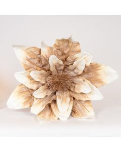 ΛΟΥΛΟΥΔΙ/ΚΛΑΔΙ FOAM ΚΡΕΜ-ΚΑΦΕ 70x70cm Eurolamp 816-20025