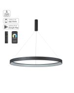 Φωτιστικό Κρεμαστό Μαύρο Μεταλιζέ 100xH100cm Led Smart 64w 2700-6000K 5120lm Homelighting Amaya 77-8140