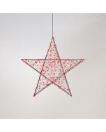 ΑΣΤΕΡΙ ΦΩΤΙΖΟΜΕΝΟ 78cm, 240 LED, 4,5V ΜΕΤΑΣΧΗΜΑΤΙΣΤΗ, TIMER, ΜΑΥΡΟΣ ΜΕΤΑΛΛΙΚΟΣ ΣΚΕΛΕΤΟΣ, ΜΑΥΡΟ ΧΑΛΚΙΝΟ ΚΑΛΩΔΙΟ, ΚΟΚΚΙΝΟ LED, ΠΡΟΕΚΤΑΣΗ ΠΑΡΟΧΗΣ 5m, IP44 Eurolamp 600-22521