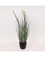 ΦΥΤΟ ΕΡΕΜΟΥΡΟΣ ΣΕ ΓΛΑΣΤΡΑ ΠΛΑΣΤΙΚΟ 80cm Eurolamp 816-50022