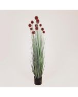 ΦΥΤΟ ΓΡΑΣΙΔΙ ΜΕ ΡΟΖ ΠΟΜΠΟΝ ΣΕ ΓΛΑΣΤΡΑ ΠΛΑΣΤΙΚΟ 122cm Eurolamp 816-50012