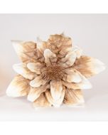 ΛΟΥΛΟΥΔΙ/ΚΛΑΔΙ FOAM ΚΡΕΜ-ΚΑΦΕ 70x70cm Eurolamp 816-20025