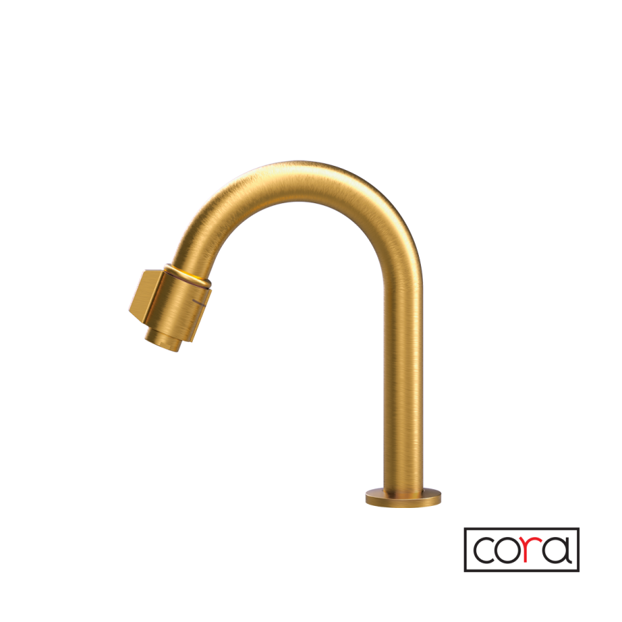 Ρουξούνι Φίλτρου (με διακόπτη) CORA Brushed Gold 13504-201