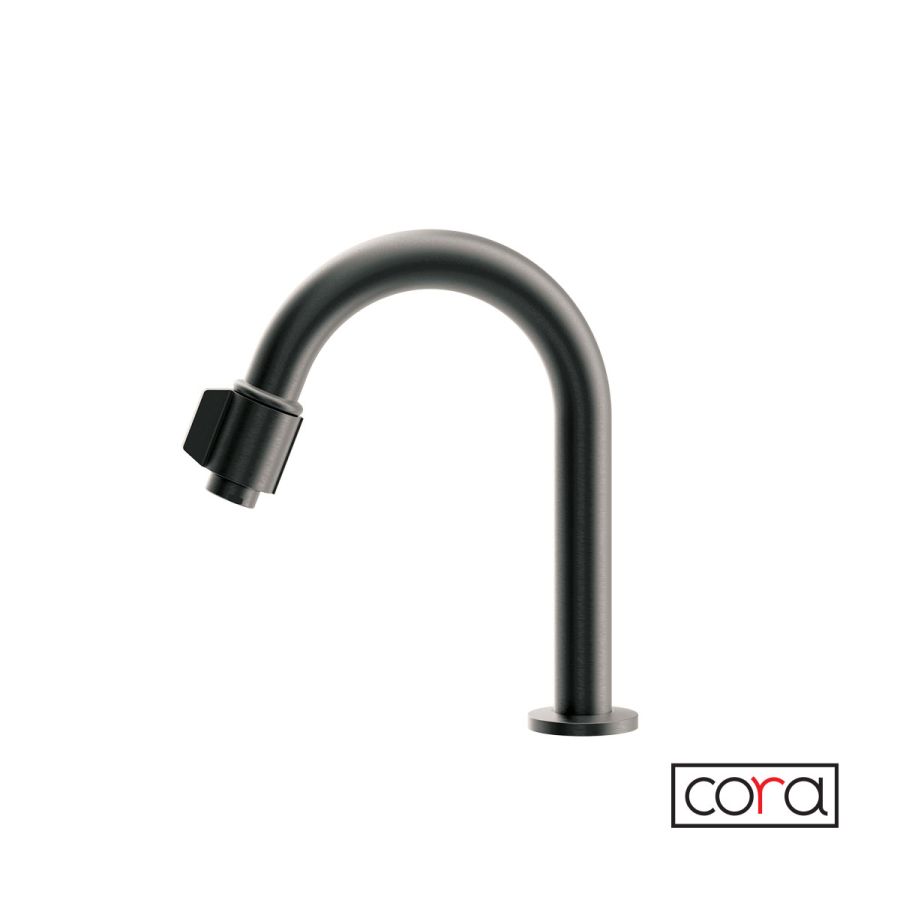 Ρουξούνι Φίλτρου (με διακόπτη) CORA Black Brushed  13504-410