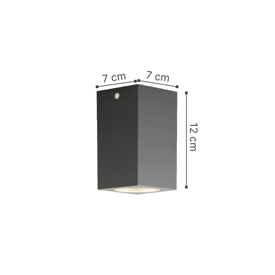 it-Lighting Cowart GU10 Outdoor Ceiling Down Light Anthracite 80300644