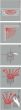 Umbrella chrome με 12 ακτίνες βραχίονας μπάνιου γωνιακός Sealskin 272226304