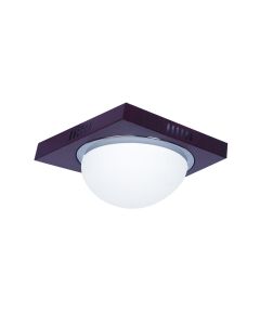 3081F Φ24 TECO COL/ION,NICKEL MAT-CHROME CEILING B3 HOMELIGHTING 77-1833