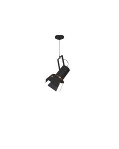 HL-3600-1L ARLEN GOLD & BLACK PENDANT HOMELIGHTING 77-4250