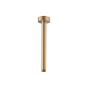 Βραχίονας Ντουζ Οροφής Στρόγγυλος – 17 cm Brushed gold 15221