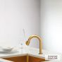 Ρουξούνι Φίλτρου (με διακόπτη) CORA Brushed Gold  13504-201