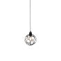 HL-3588-1 ALINE CHROME PENDANT HOMELIGHTING 77-4061