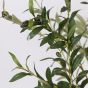 ΤΕΧΝΗΤΟ ΔΕΝΤΡΟ ΕΛΙΑΣ ΜΕ ΠΛΑΣΤΙΚΗ ΒΑΣΗ ΥΦΑΣΜΑ-ΠΛΑΣΤΙΚΟ-ΣΙΔΕΡΟ 65cm Eurolamp 816-50051