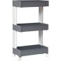 Ραφιέρα PP Τροχήλατη Γκρι 45x26x79.5cm MRShome DS-1228000