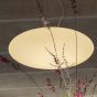 Κρεμαστό Φωτιστικό SMARTIES SP5 D60 Ideal Lux 031996