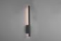 Απλίκα Επιτοίχια Εξ. Χώρου IP54 Ανθρακί  LED 7,5w 3000K 800lm Trio Lighting Tawa 221460142