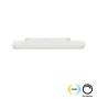 Σποτ Track Λευκό 10W Magnetic (dimmable) Viokef 4244001