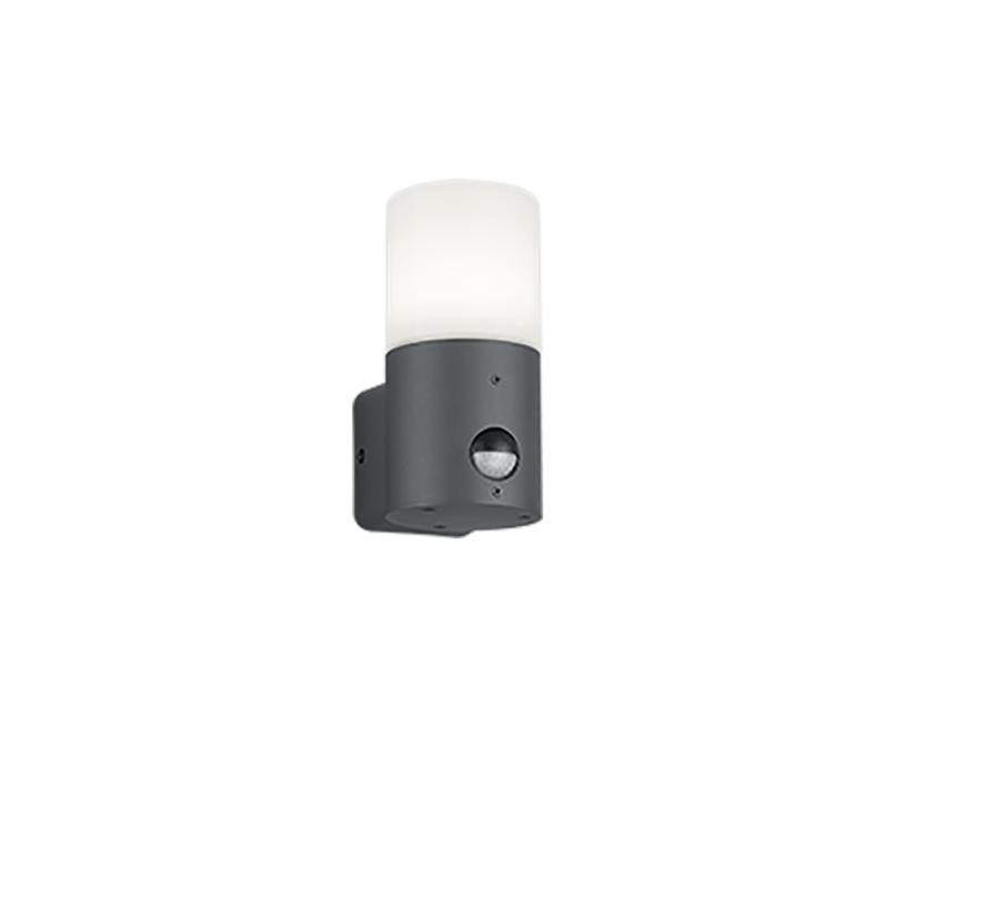 Απλίκα Επιτοίχια με Αισθητήρα IP44 1xE27 Ανθρακί Trio Lighting Hoosic 222260142