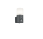 Απλίκα Επιτοίχια με Αισθητήρα IP44 1xE27 Ανθρακί Trio Lighting Hoosic 222260142
