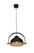 HL-211S-1P38  OMAHA PENDANT HOMELIGHTING 77-2939