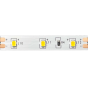 ΛΩΡΙΔΑ LED 5M 4.8W/M 570LM/M 12V DC IP20 6500K Ra80 8mm  ACA 1228354865