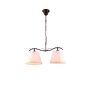 H9423-2 HANA 1E2 HOMELIGHTING 77-2229