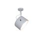 HL-3599-1S ARCHIE GOLD CEILING HOMELIGHTING 77-4229